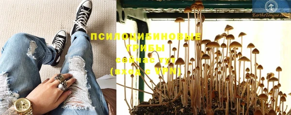 бошки Алексин